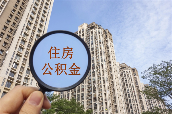 娄底离职多久可以取住房公积金(离职多久后能取公积金) 娄底离职多久可以取住房公积金(离职多久后能取公积金)
